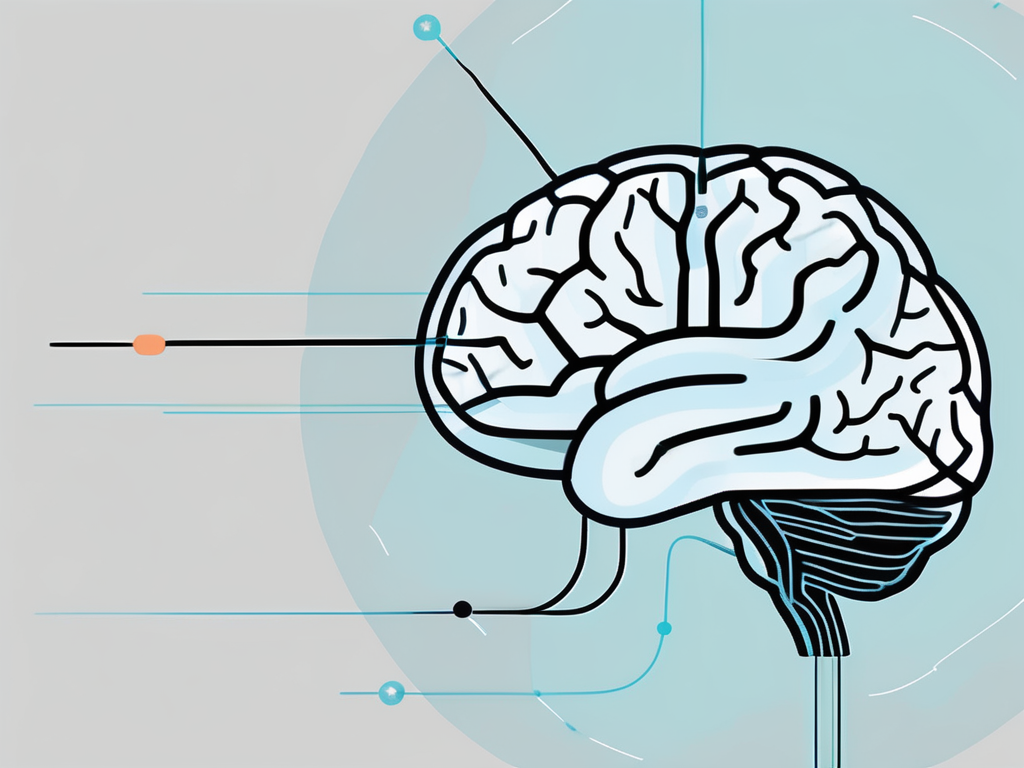 A brain with highlighted areas