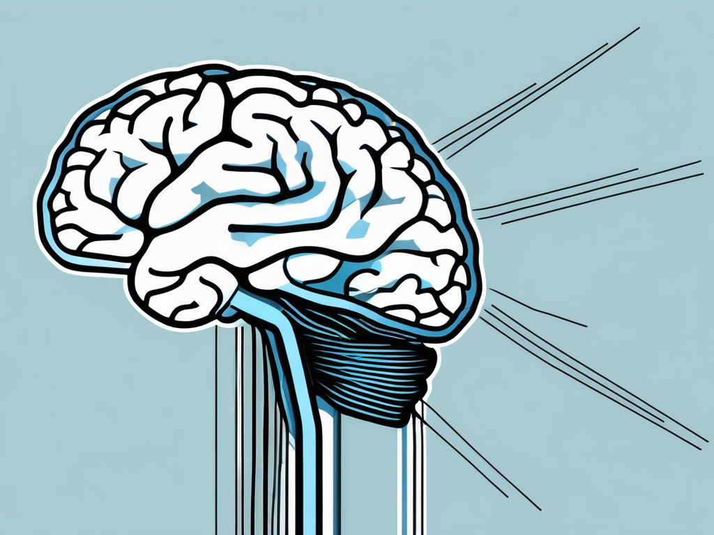 A human brain with the prefrontal cortex highlighted